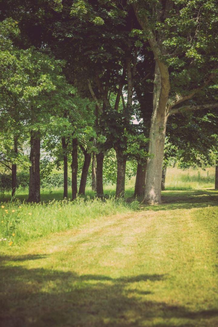 Gestion écologique et durable des espaces verts à Nantes