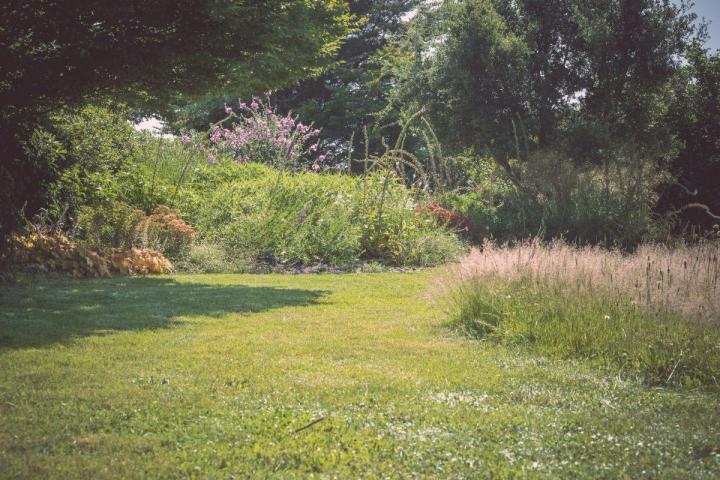 Entretien jardins de copropriétés Nantes