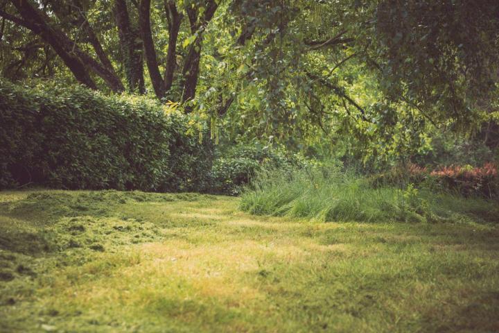 Gestion écologique et durable des espaces verts à Nantes