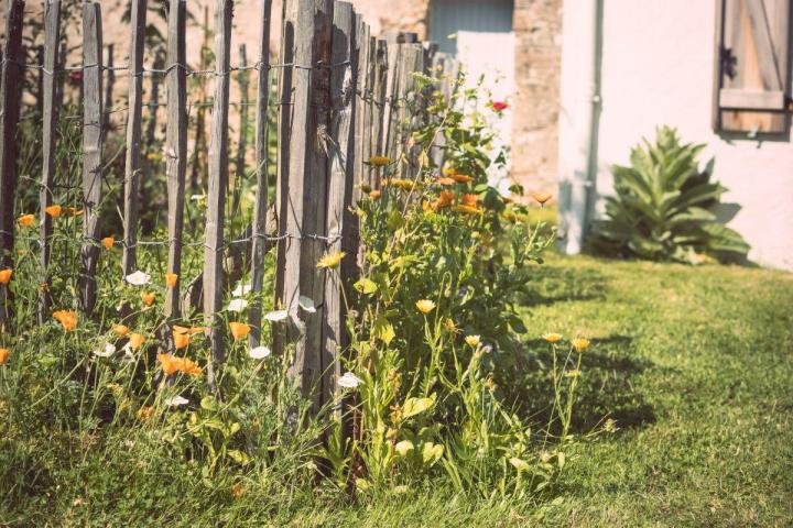 Gestion écologique et durable des espaces verts à Nantes