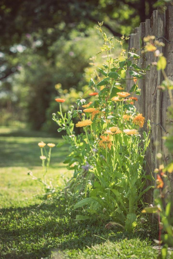 Gestion écologique et durable des espaces verts à Nantes