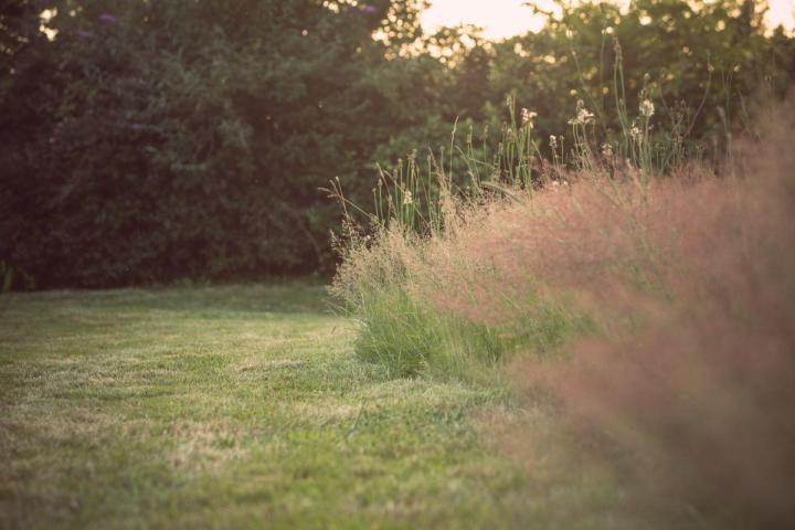 Gestion écologique et durable des espaces verts à Nantes