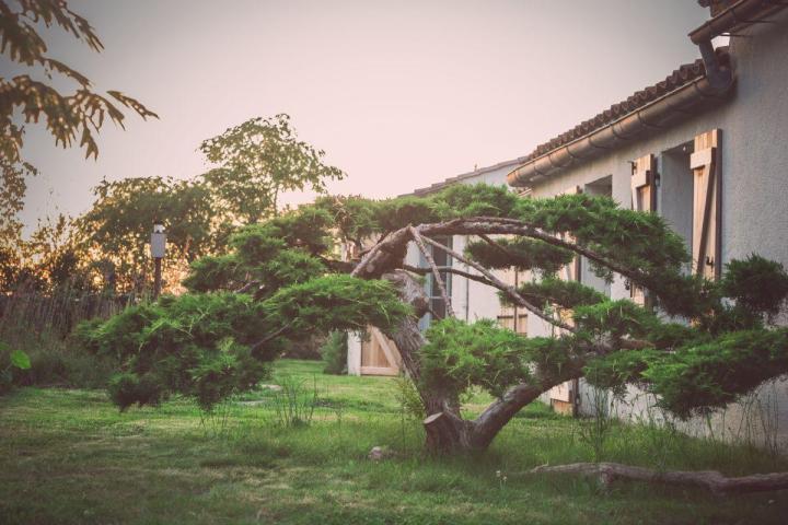 Gestion écologique et durable des espaces verts à Nantes