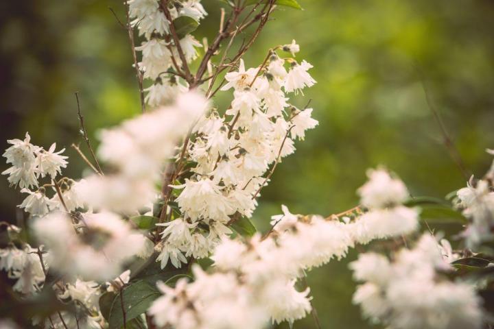 Gestion écologique et durable des espaces verts à Nantes
