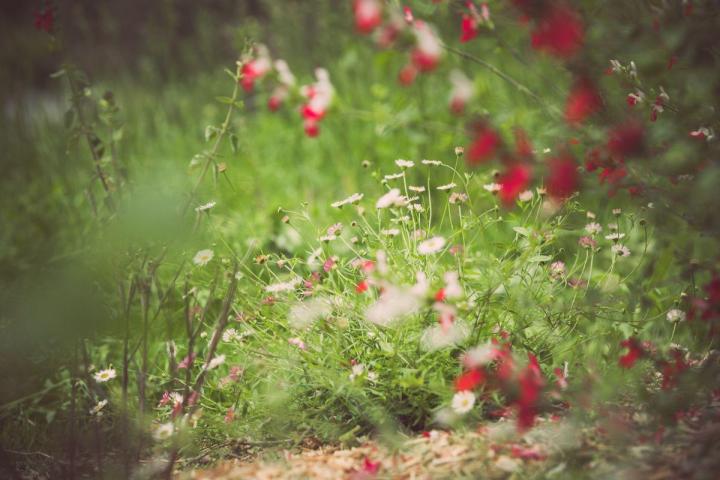 Gestion écologique et durable des espaces verts à Nantes