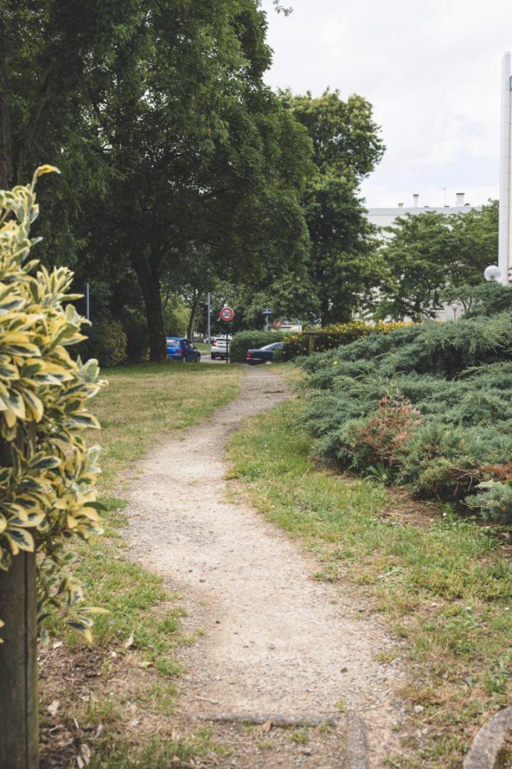 Entretien jardins de copropriétés Nantes