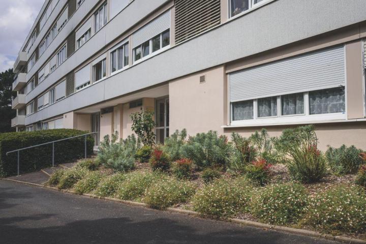Entretien jardins de copropriétés Nantes