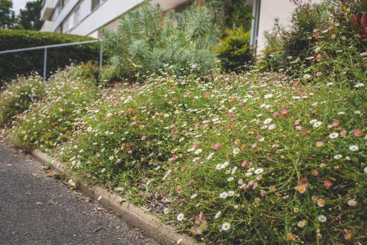 Gestion écologique et durable des espaces verts à Nantes