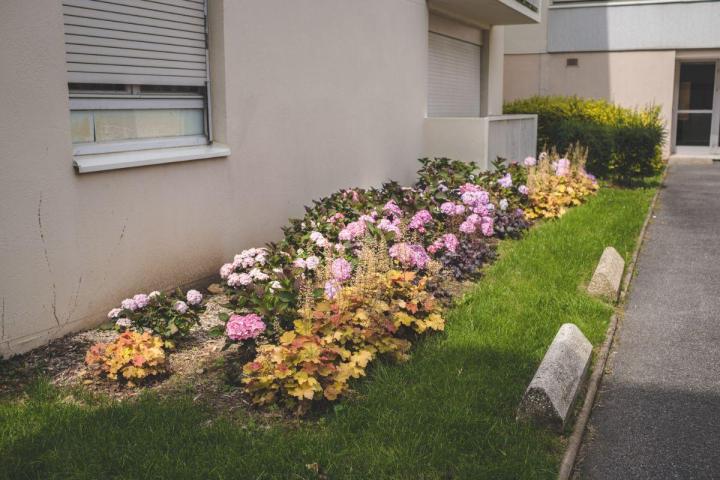 Plantation fleurs Nantes