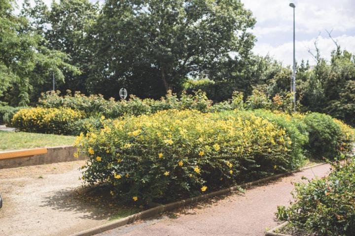 Entretien jardins de copropriétés Nantes