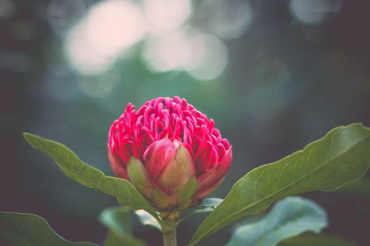 Gestion des espaces verts de copropriétés Nantes